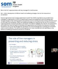 PHE / SOM Webinar 6: Developing A COVID Secure Health And Wellbeing Strategy